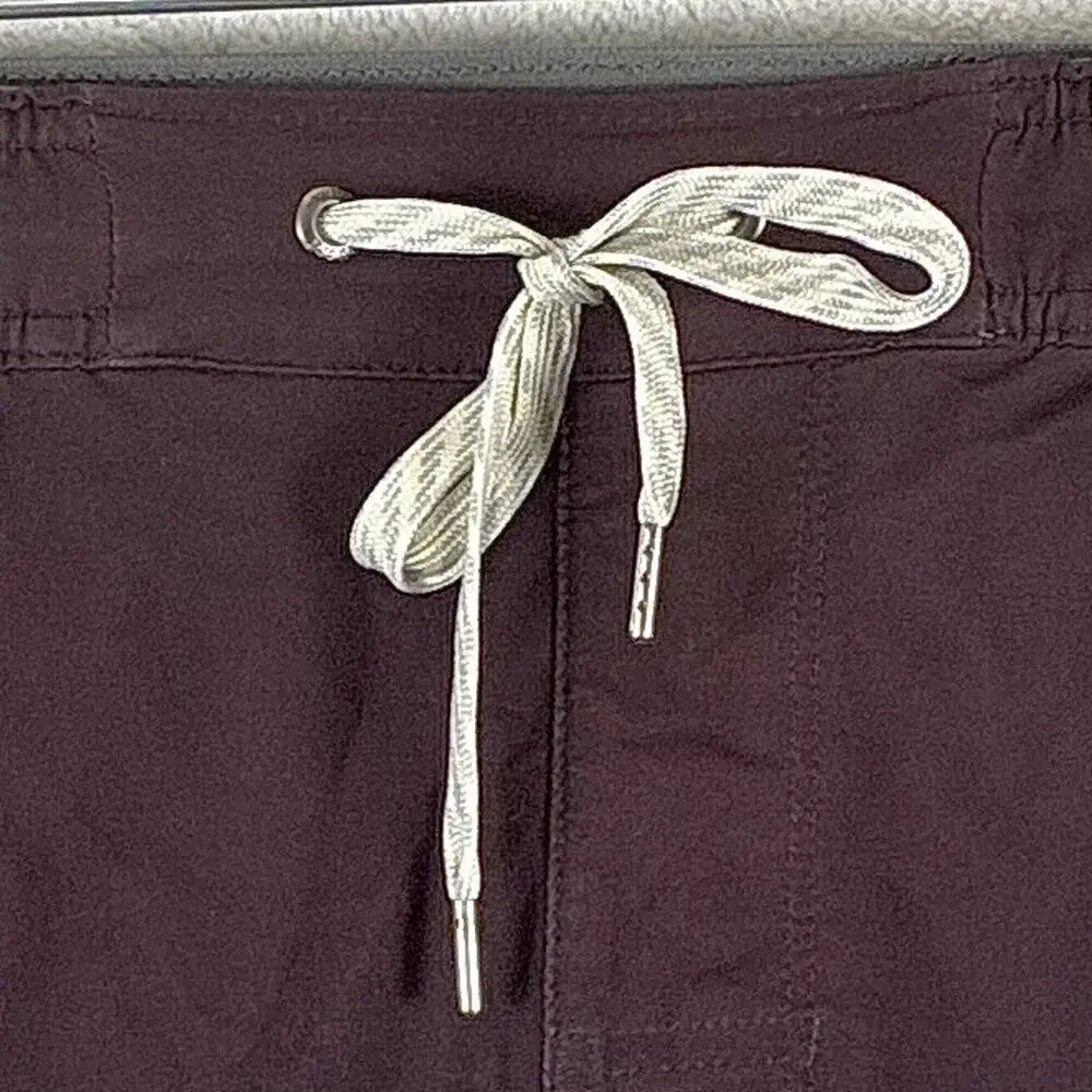 Vuori Shorts Mens S Burgundy Brown Stripe Trail Preppy Outdoors Training Workout